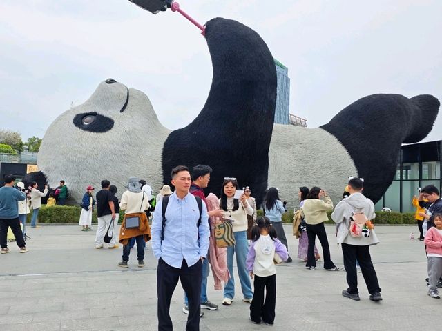 Chengdu Day Trip – Panda Valley, Qingcheng Mountain & Dujiangyan with Ancient Town Vibes!
