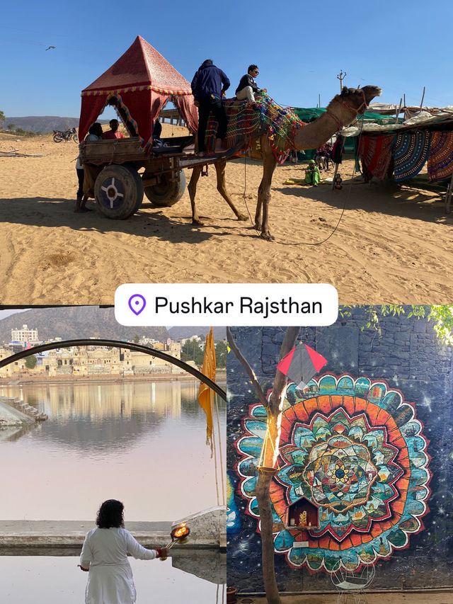 แจกแพลน อินเดีย 3คืน 4วัน ไม่ไปไม่รู้ ✨🇮🇳