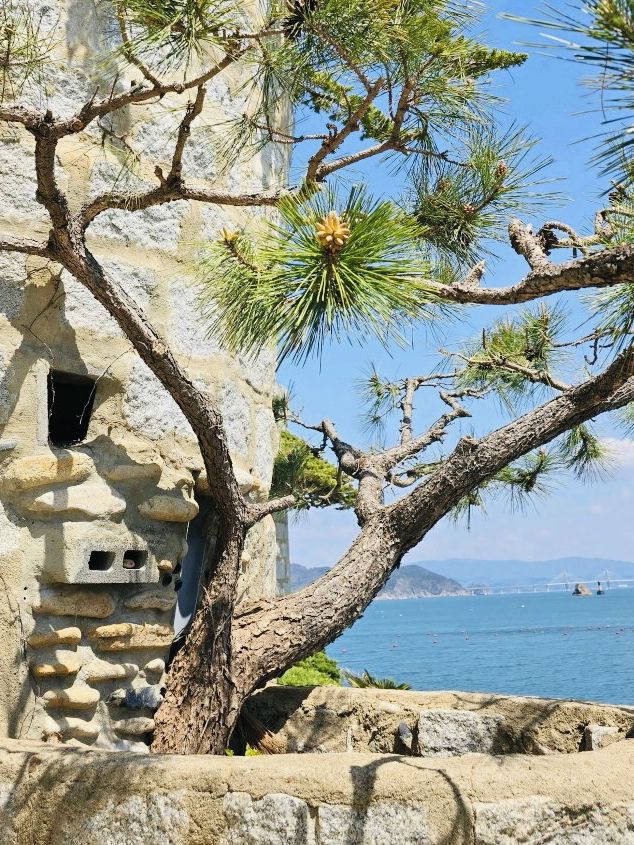 Maemi Castle: A Seaside April Escape in Geoje 