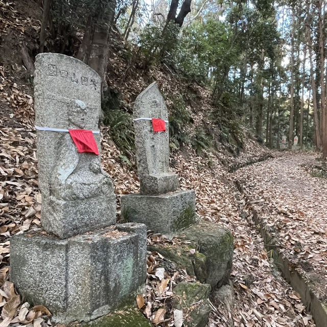 【矢田丘陵】🗻　矢田山・松尾山