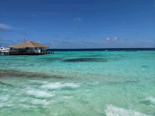 馬爾代夫🇲🇻 Eriyadu island resort