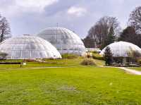 【知的好奇心がくすぐられる】ウニヴェルシテート・チューリッヒ植物園 🌿🔬