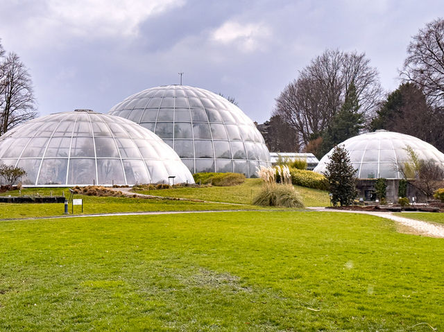 【知的好奇心がくすぐられる】ウニヴェルシテート・チューリッヒ植物園 🌿🔬