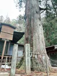 岐阜🎗️飛騨高山】聖地巡礼‼️君の名はの有名シーンに登場する、あの神社⛩️🎬