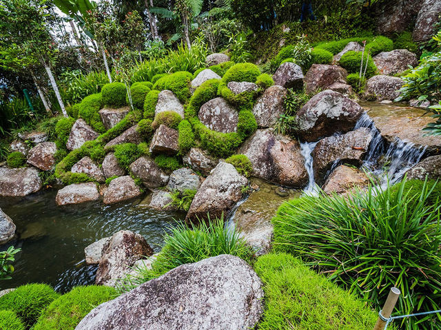🍃 Zen Vibes Only: A Peaceful Pause at Bukit Tinggi’s Japanese Garden 🏯✨