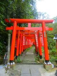 【鎌倉】鳥居が並ぶ🦊佐助稲荷神社