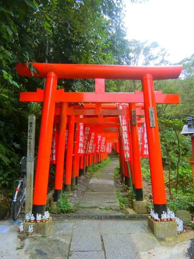 【鎌倉】鳥居が並ぶ🦊佐助稲荷神社