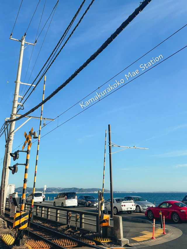 Kamakura 1 day trip from Tokyo🇯🇵