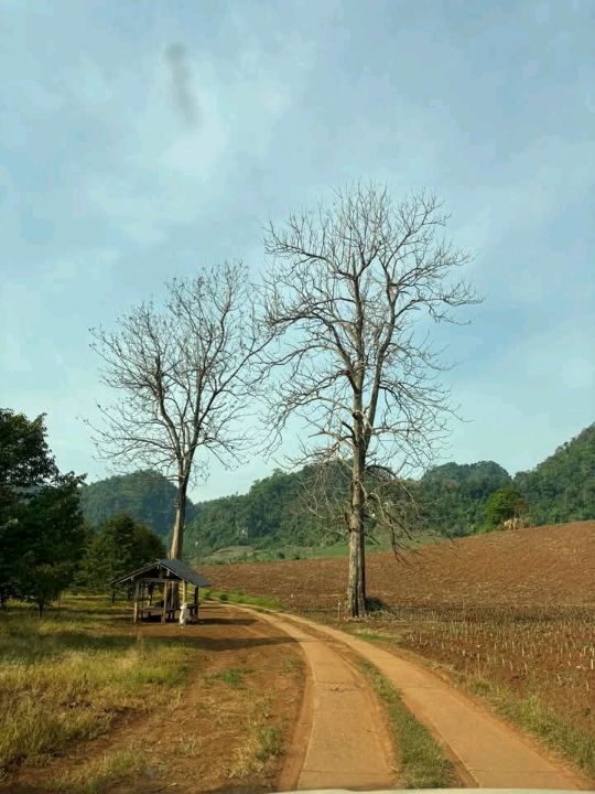น้ำตกเต่าดำ