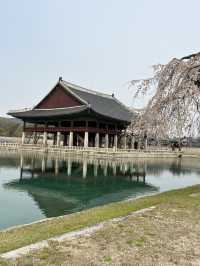 首爾必去之處@景福宮