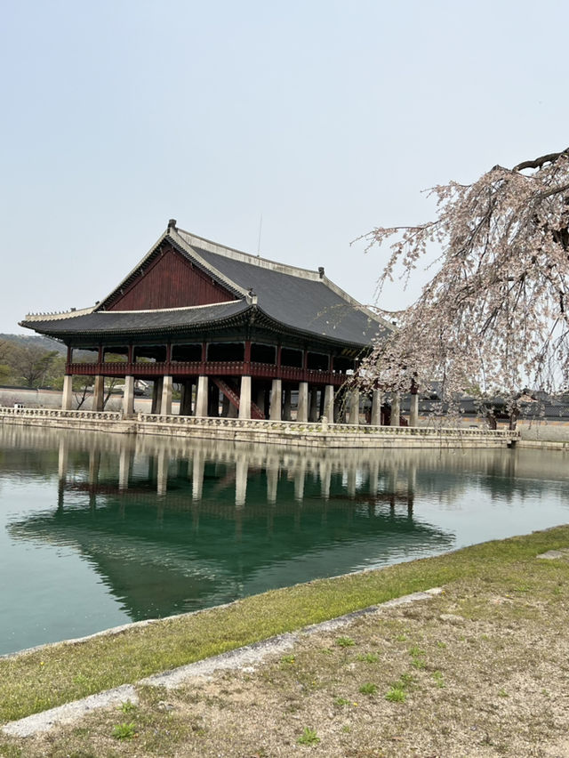 首爾必去之處@景福宮