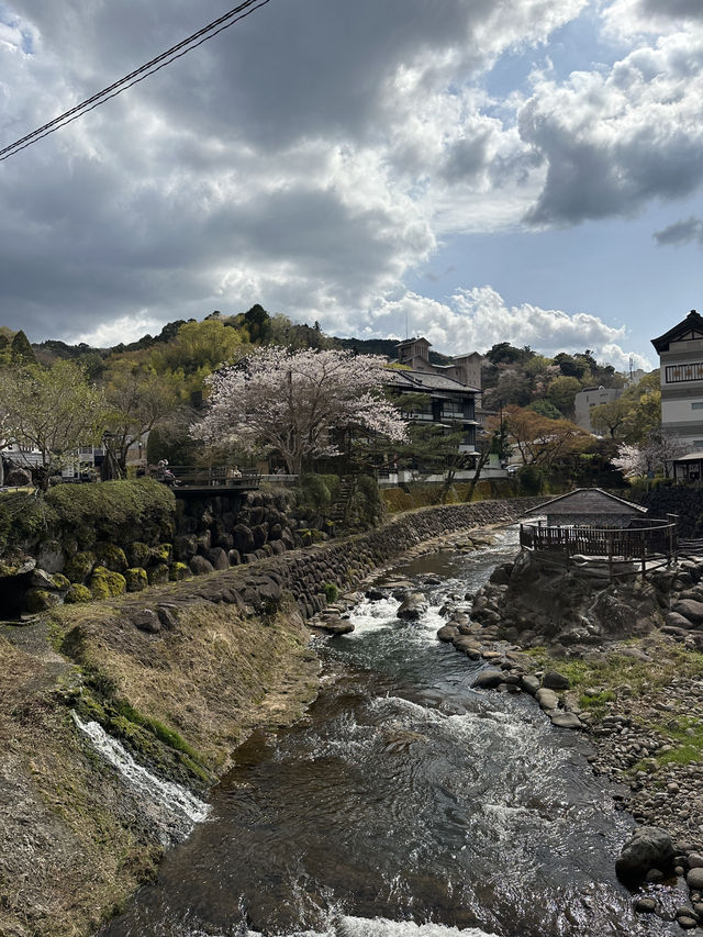 Just returned from an unforgettable spring trip to Japan!