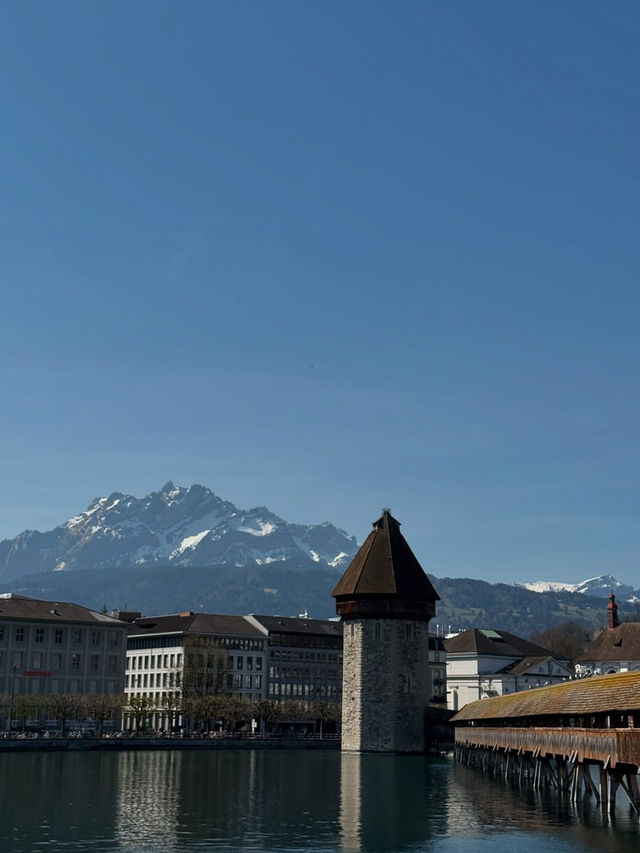 Switzerland is a haven for nature