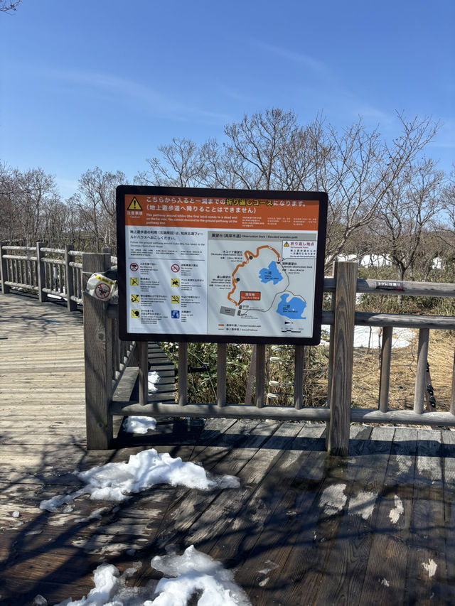 【世界遺産】知床五湖・高架木道で絶景散策！