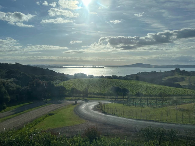 Waiheke 島小旅行：離奧克蘭最近的天堂