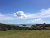 Waiheke 必訪酒莊｜Cable Bay：不只美酒，連羊排都讓人愛上