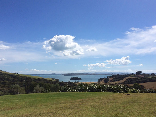 Waiheke 必訪酒莊｜Cable Bay：不只美酒，連羊排都讓人愛上