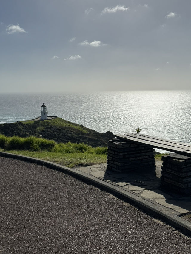 Tip of the North