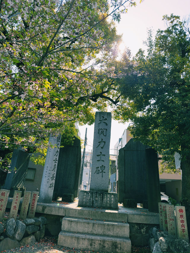 東京｜地鐵東西線｜城市節奏與生活氣息的藍色動脈