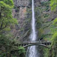 Multnomah Falls – Columbia River Gorge, OR