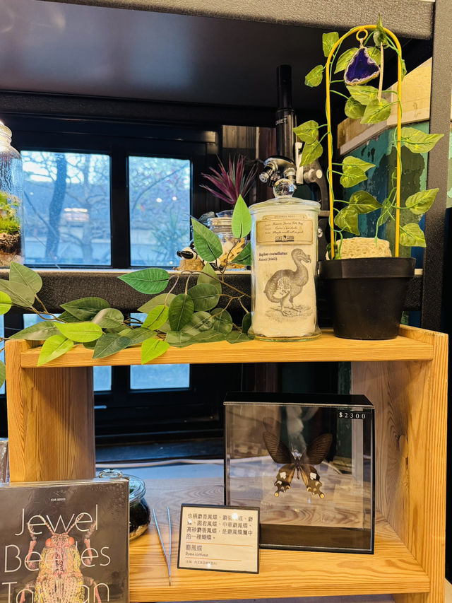 Mini Museum or Gift Shop?