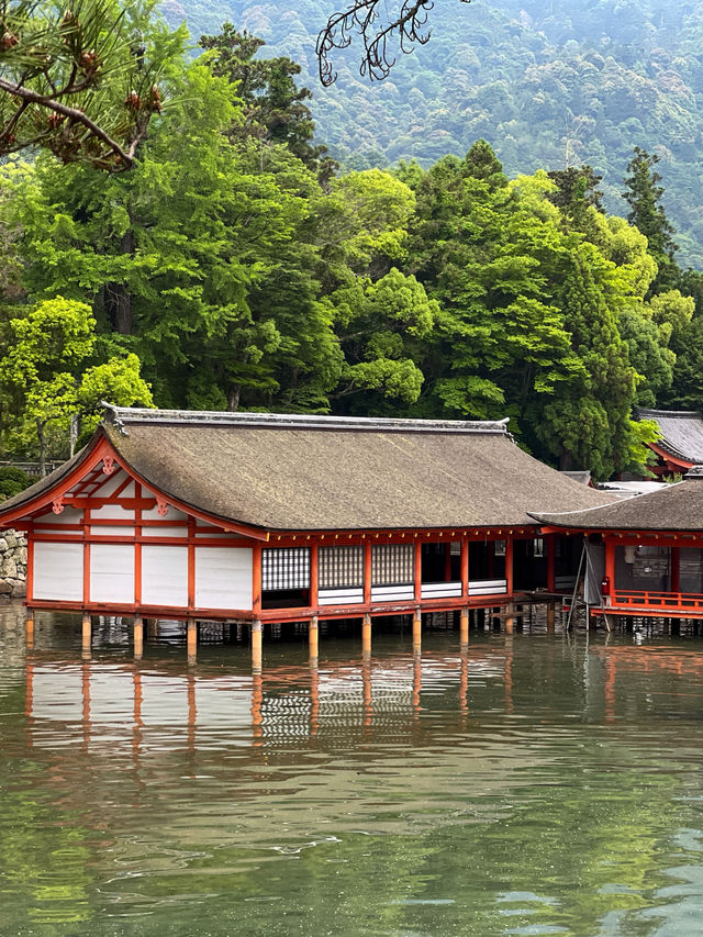 【広島】何度見ても飽きない国宝