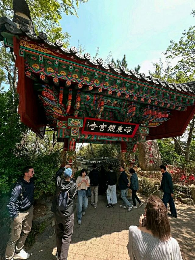 Busan: Ocean Breeze, Mountain Calm, and a Dash of City Pulse