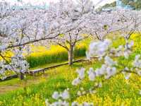 Springtime Chill with a Historic Twist