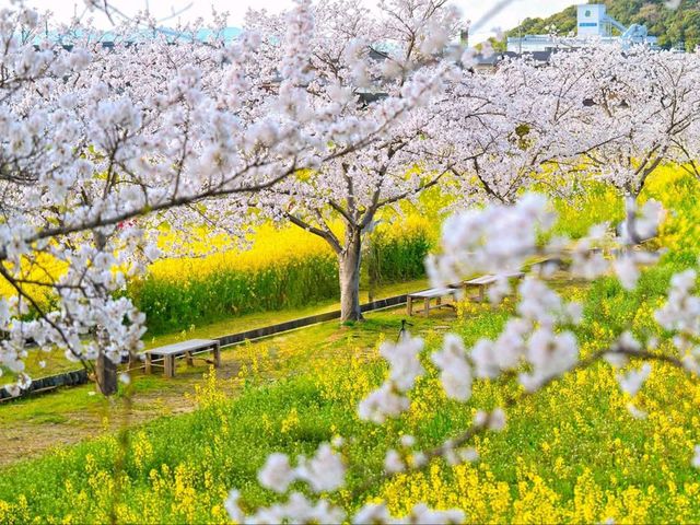 Springtime Chill with a Historic Twist
