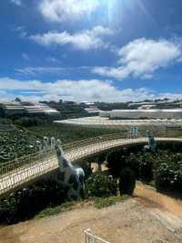 5 days in Da lat