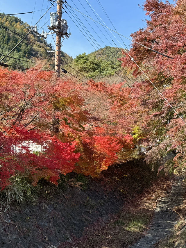東京｜交通攻略｜河口湖｜追尋富士山的最佳路徑