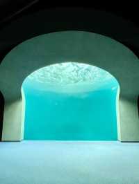 【香川】海辺のカフェと水族館🐬旅の締めはうどんでキメる！