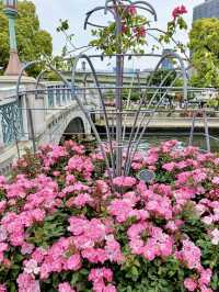 A Local Stroll Through Kitahama – Pancakes, Roses & Riverside Calm