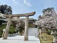 MIFUNEYAMA RAKUEN | A CHERRY BLOSSOM PARADISE IN SAGA