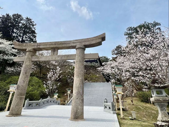 MIFUNEYAMA RAKUEN | A CHERRY BLOSSOM PARADISE IN SAGA