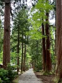 A Slow Stroll Around Oyama Shrine – Nature, Culture & Noodles