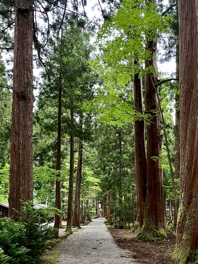 A Slow Stroll Around Oyama Shrine – Nature, Culture & Noodles