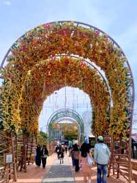 Experience Coastal Charm at Haeundae Blue Line Park, Busan