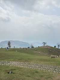 ฟาร์มในฝันที่มีมากกว่าความสวย…🌾🐑