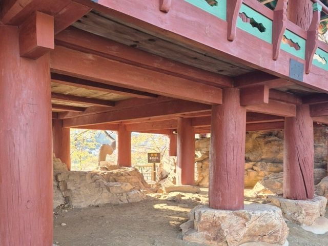 삼척가을의빛이 가득한💛 [국보 죽서루]