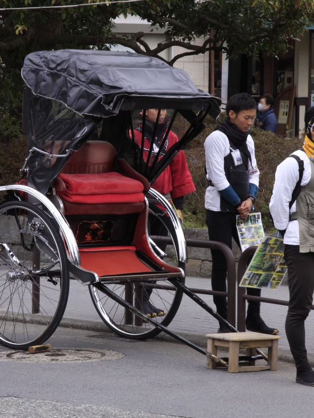 Tokyo & Kamakura Getaway