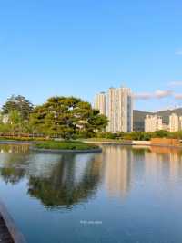 부산 도심의 힐링스팟은 여기에요!🍀🌿