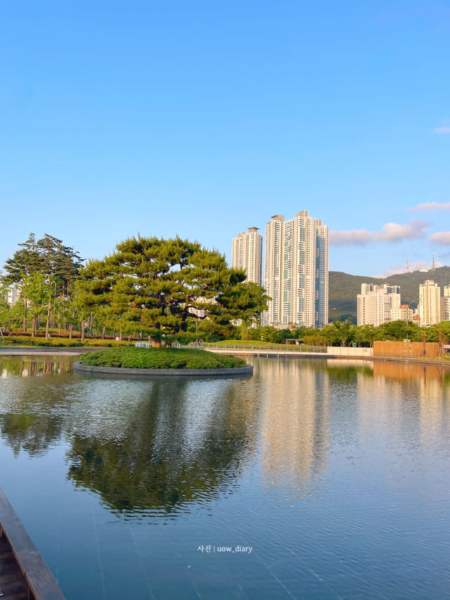 부산 도심의 힐링스팟은 여기에요!🍀🌿