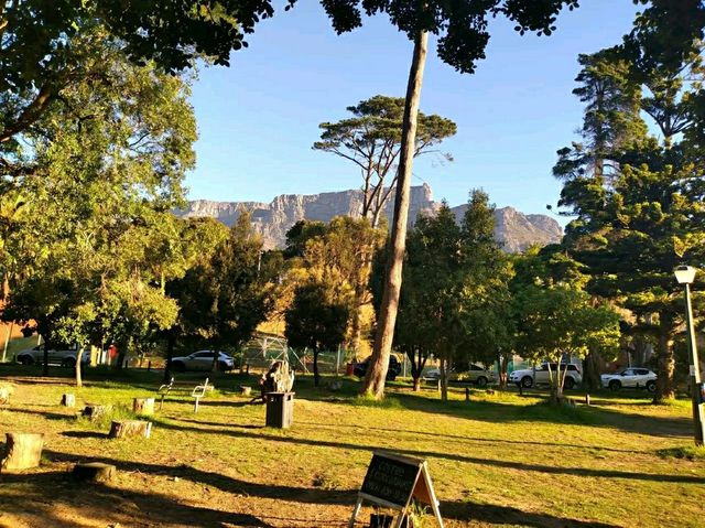 De Waal Park: Where Cape Town Comes to Play