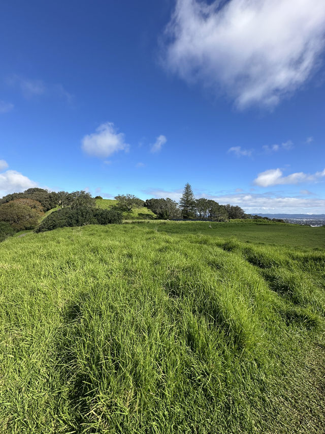 紐西蘭 ｜登奧克蘭伊甸山 Mount Eden Summit