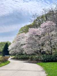 MAKOMANAI PARK.