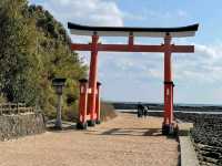 Spring Bliss at Aoshima Shrine
