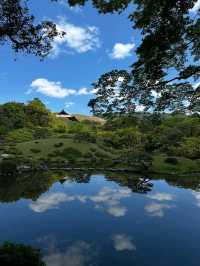 A Chill Spot for Nature Lovers in Nara