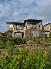 Valle de Guadalupe: Mexico’s Hidden Wine Country Gem