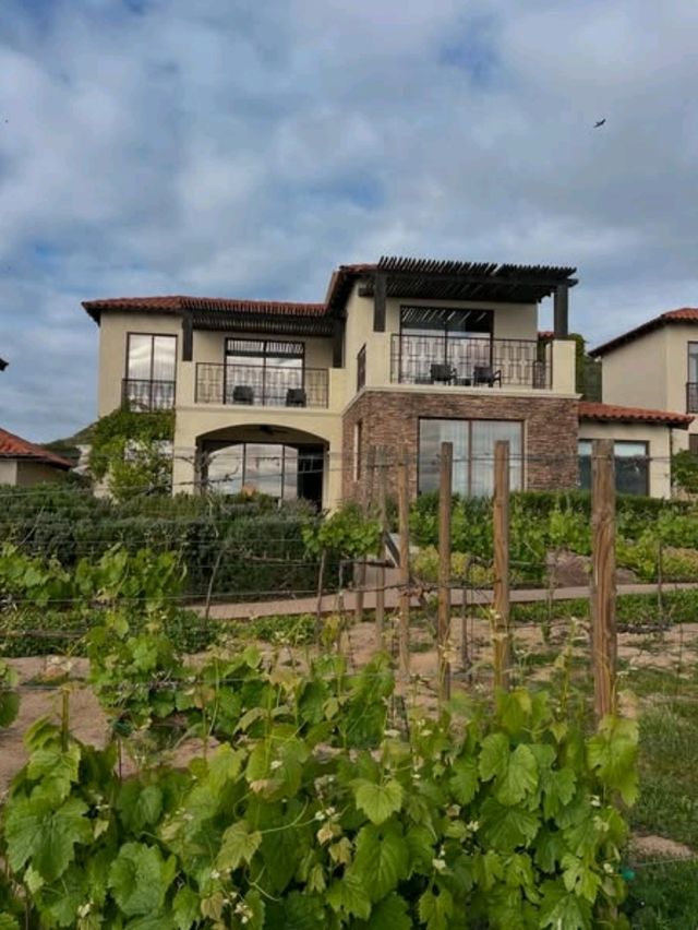 Valle de Guadalupe: Mexico’s Hidden Wine Country Gem